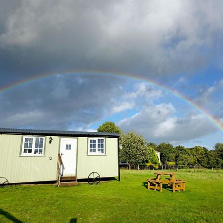Cwtch Glamping Shepherds Huts アバーガベニー エクステリア 写真