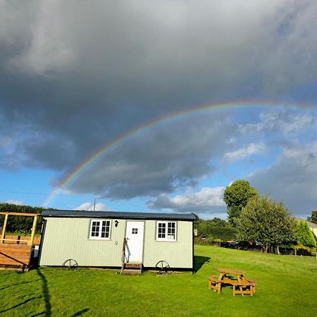 Cwtch Glamping Shepherds Huts アバーガベニー エクステリア 写真