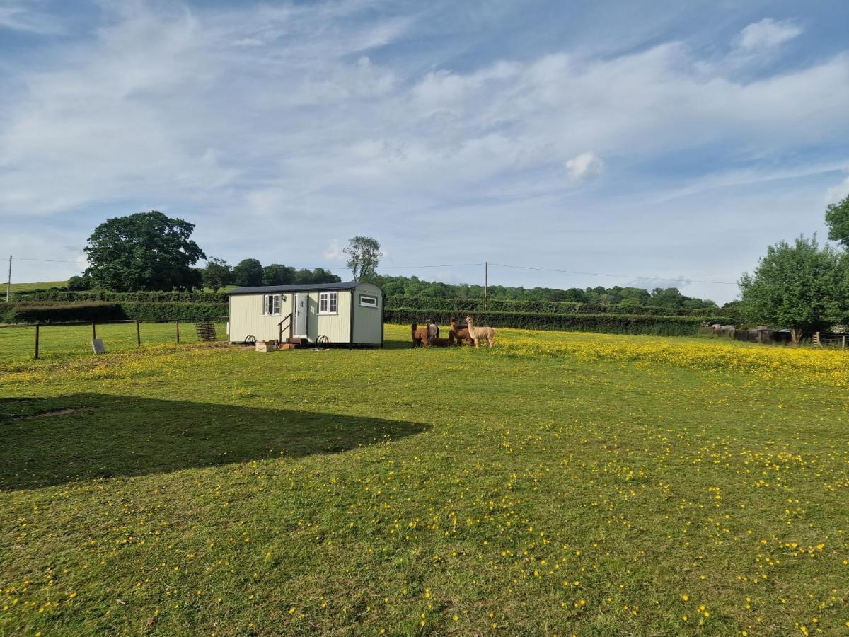 Cwtch Glamping Shepherds Huts アバーガベニー エクステリア 写真