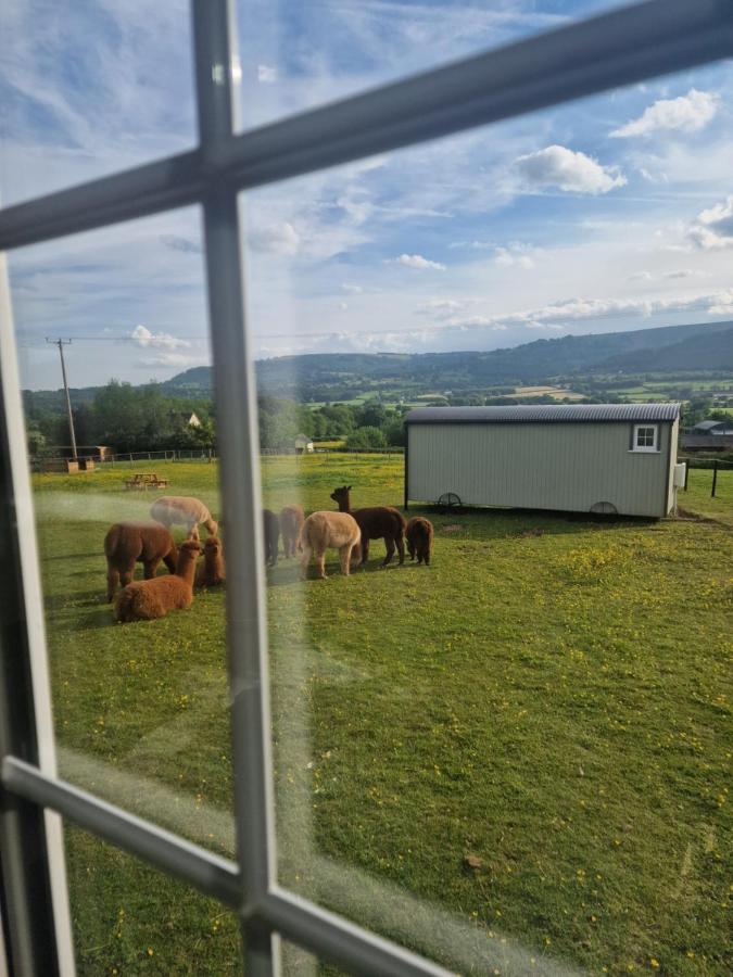 Cwtch Glamping Shepherds Huts アバーガベニー エクステリア 写真