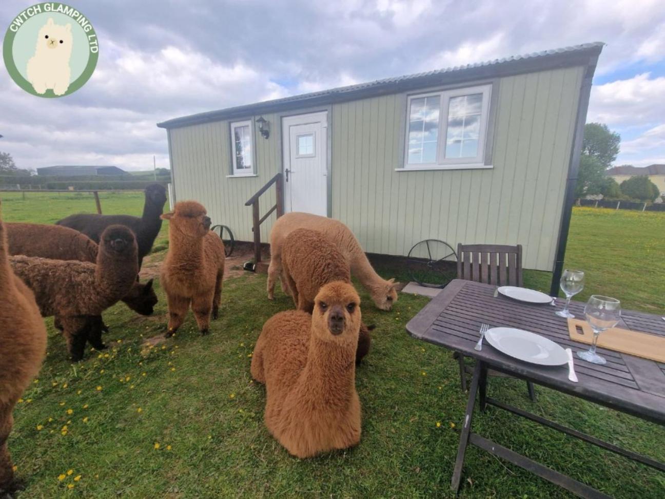 Cwtch Glamping Shepherds Huts アバーガベニー エクステリア 写真